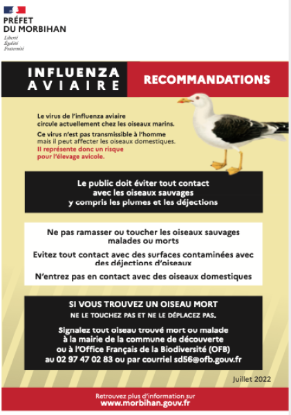 L'Influenza Aviaire