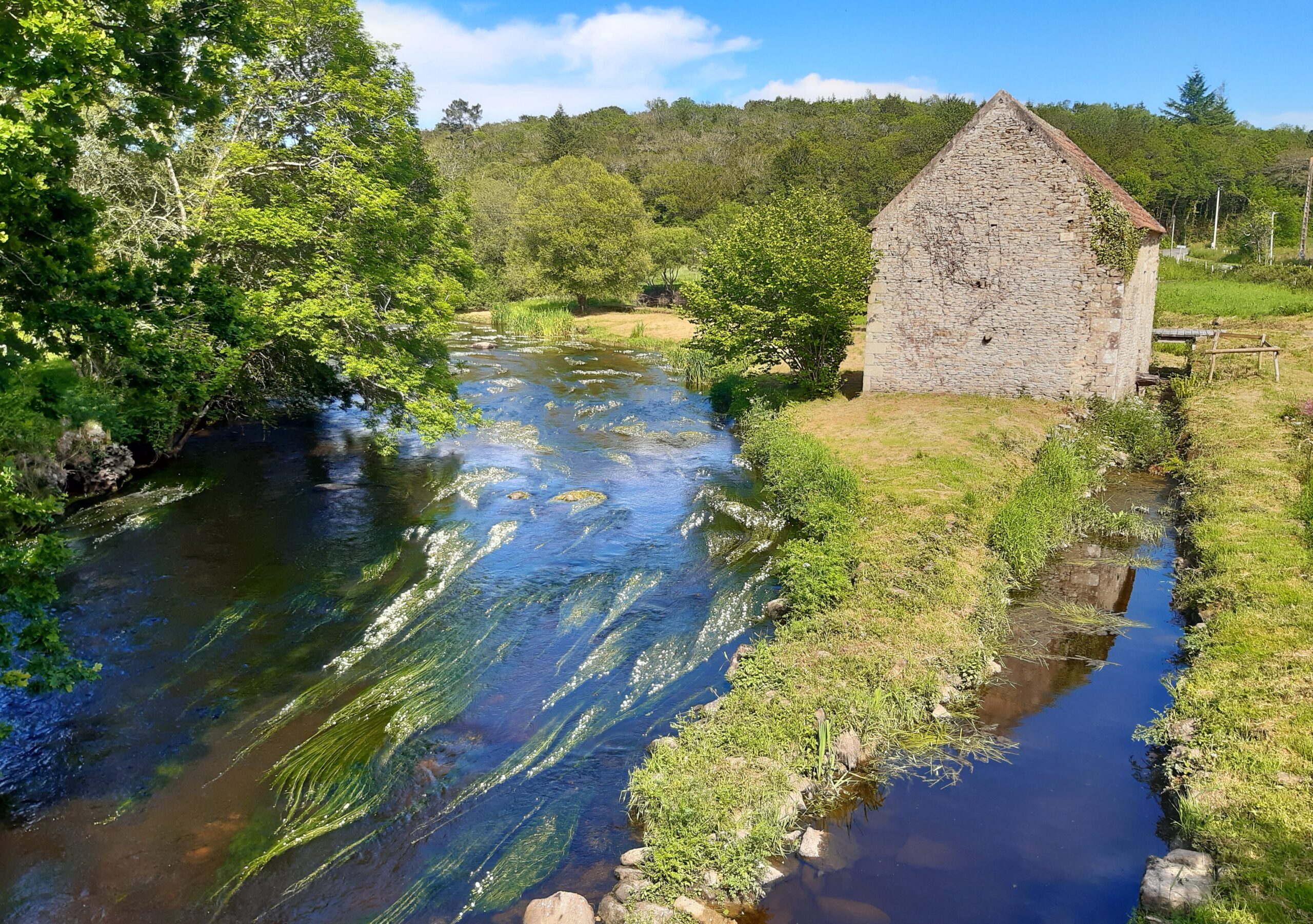 moulin