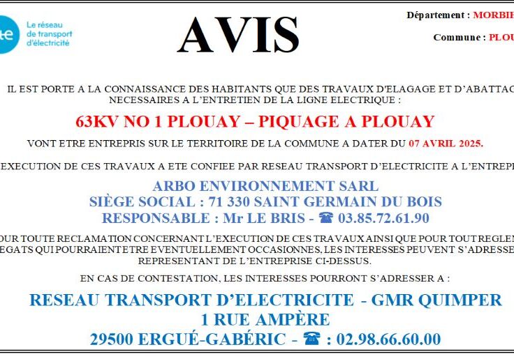 Travaux d'élagage et d’abattage nécessaires a l’entretien de la ligne électrique : 63kv no 1 plouay – piquage à plouay