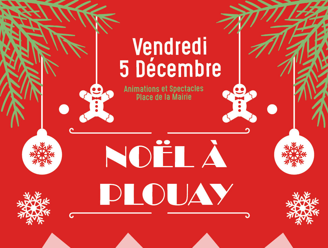 NOEL A PLOUAY