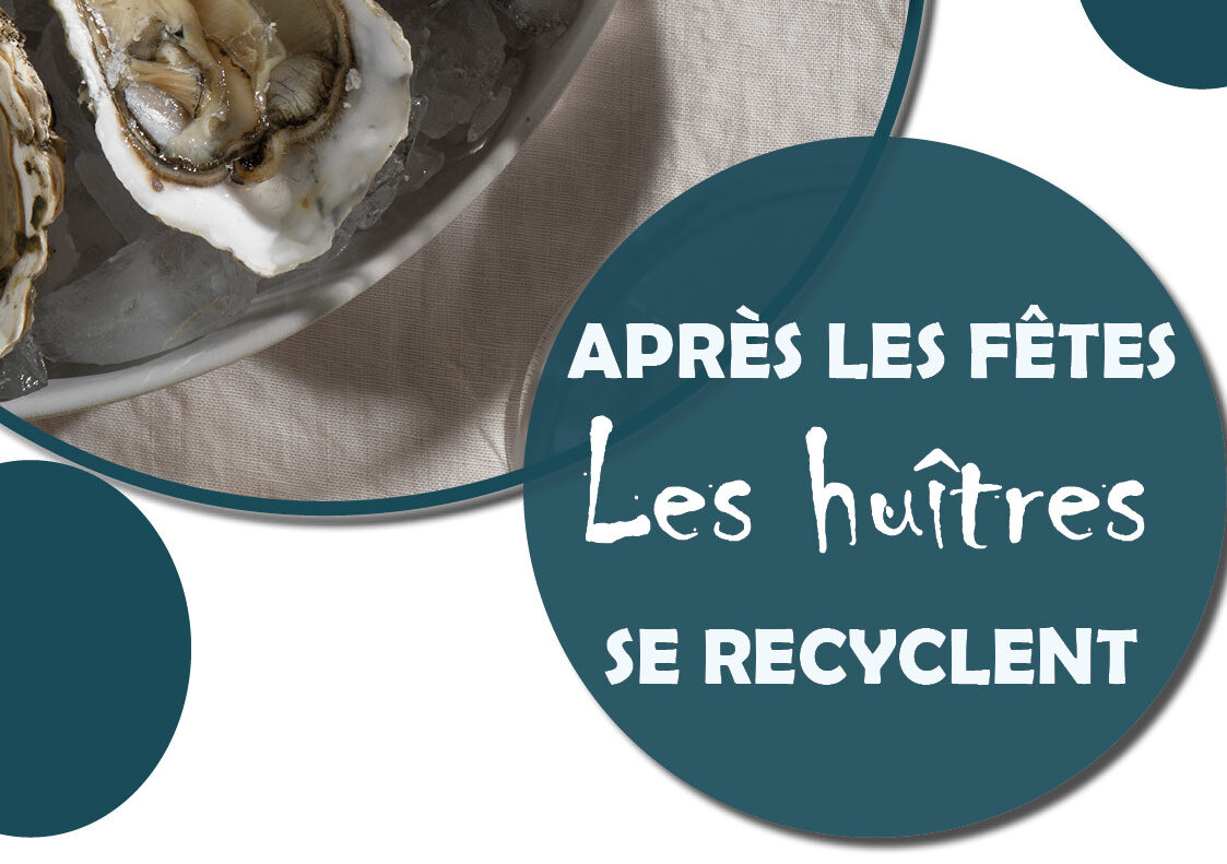 Huîtres
