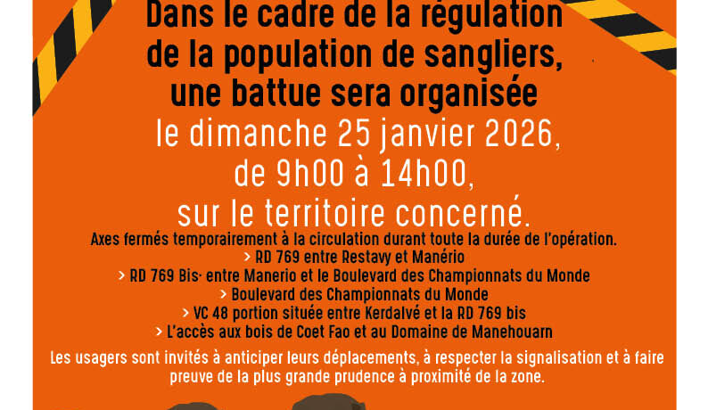 battue aux sangliers organisée le dimanche 25 janvier 2026, de 9h à 14h